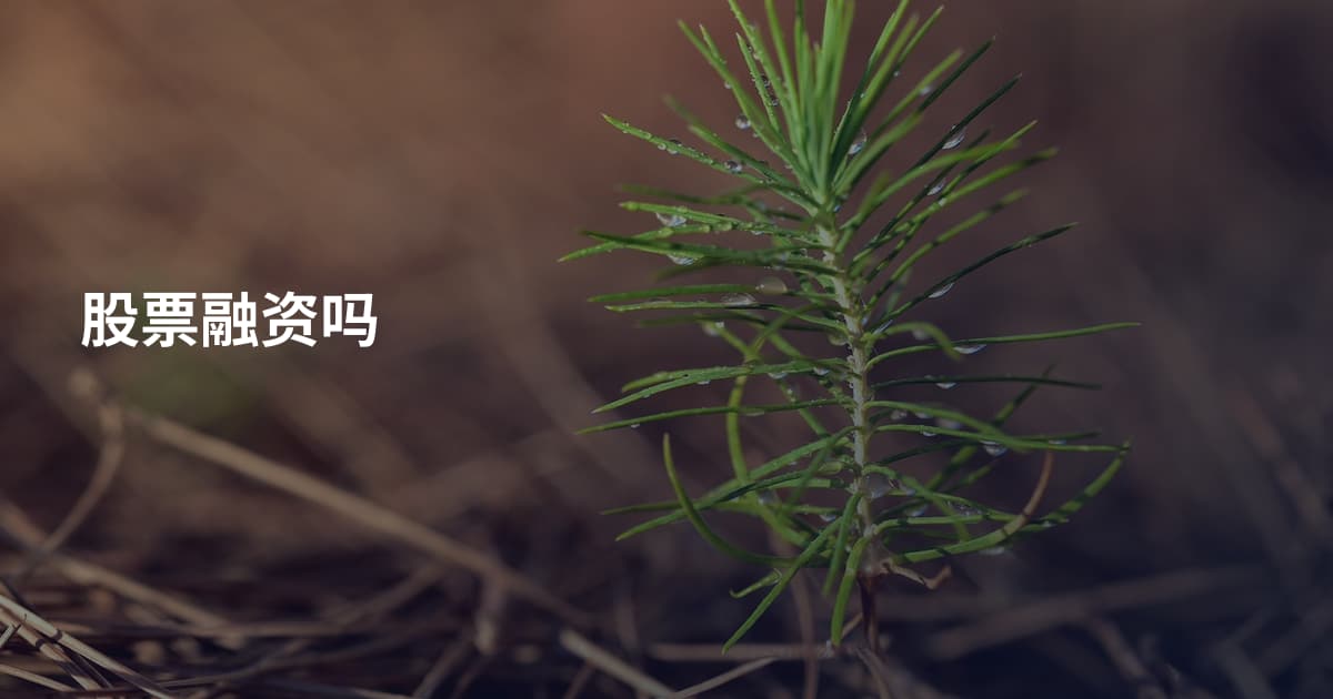 股票融资吗