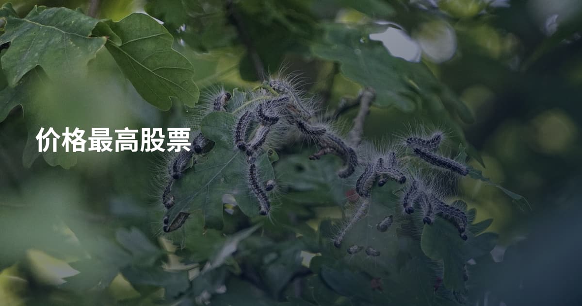 价格最高股票