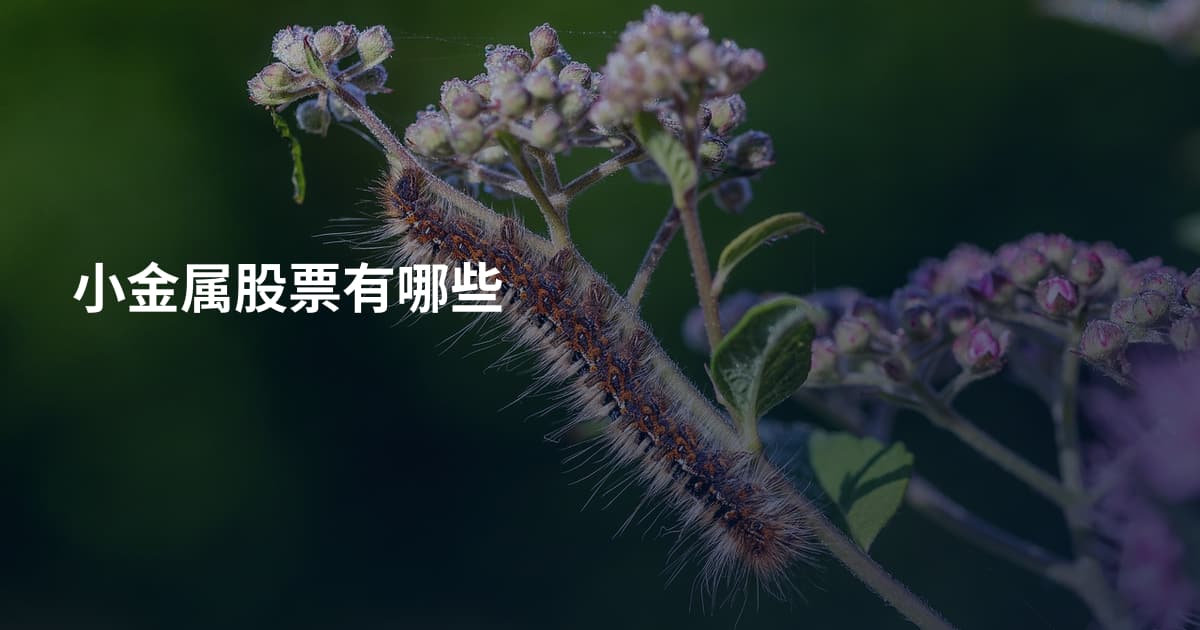 小金属股票有哪些