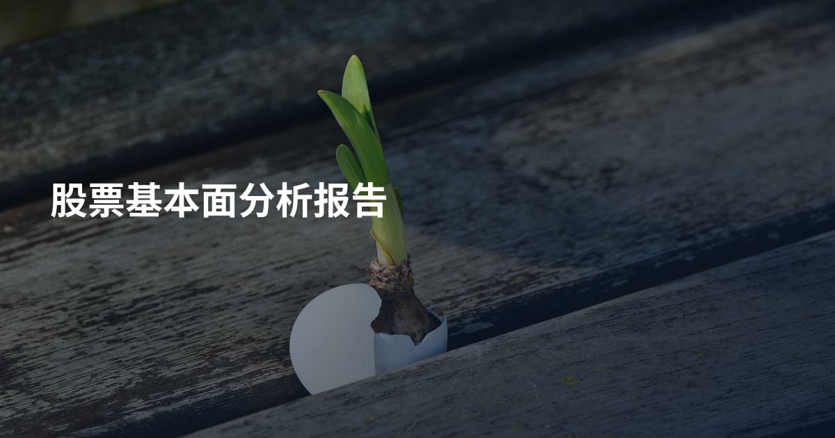 股票基本面分析报告