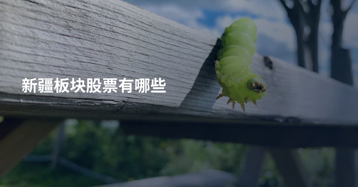 新疆板块股票有哪些