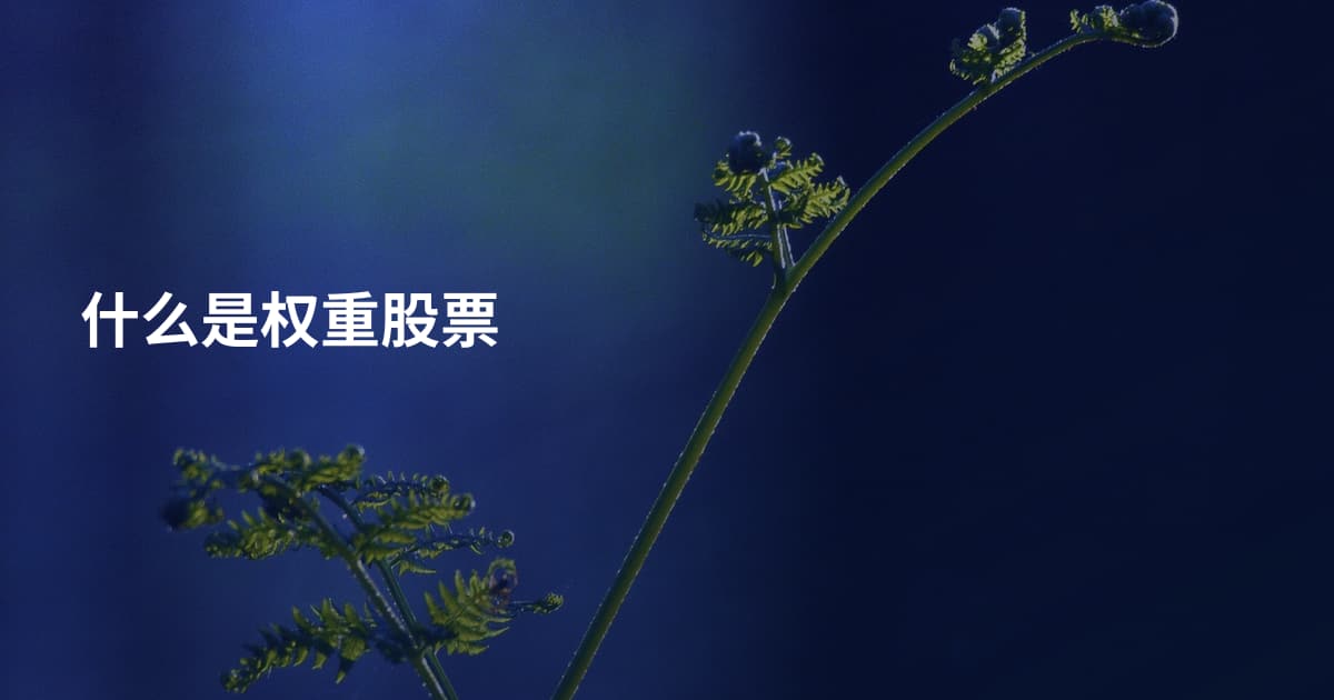 什么是权重股票