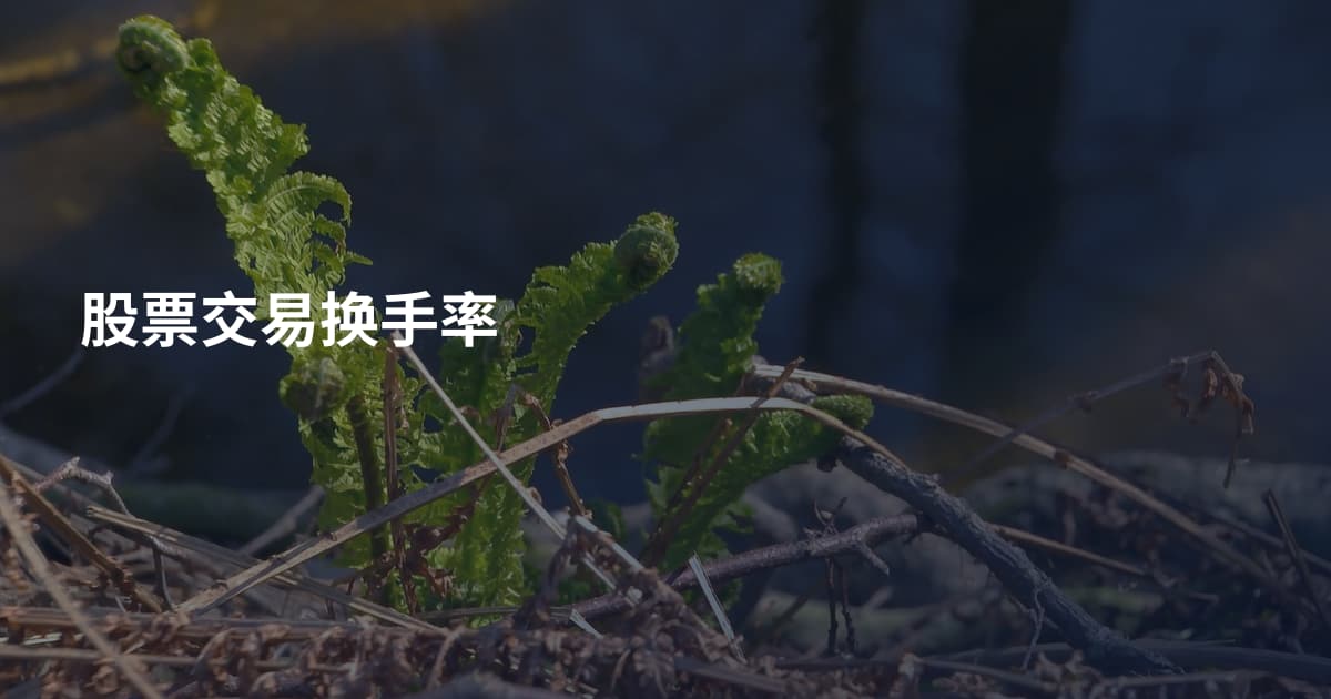 股票交易换手率