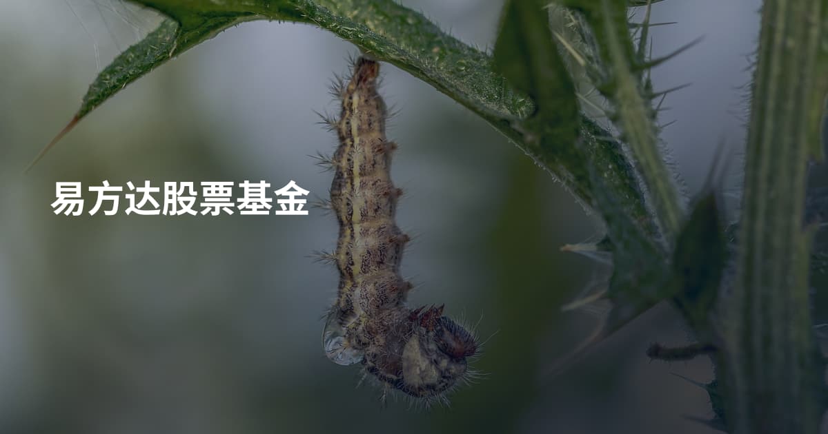 易方达股票基金