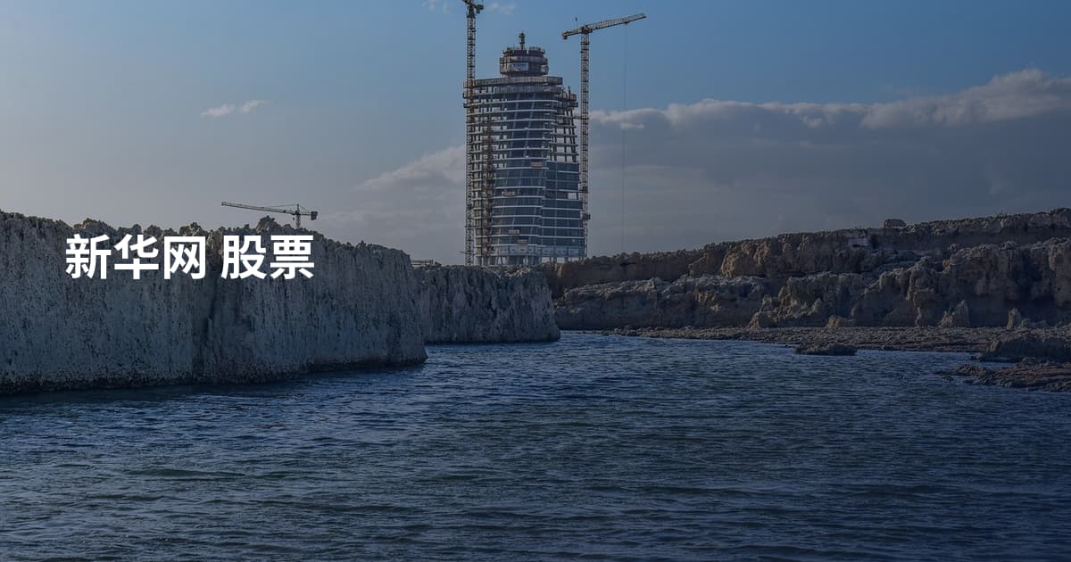新华网 股票