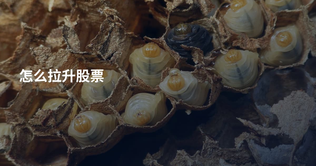 怎么拉升股票