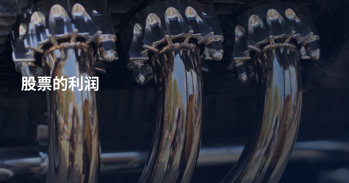 股票的利润