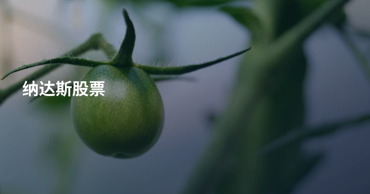 纳达斯股票