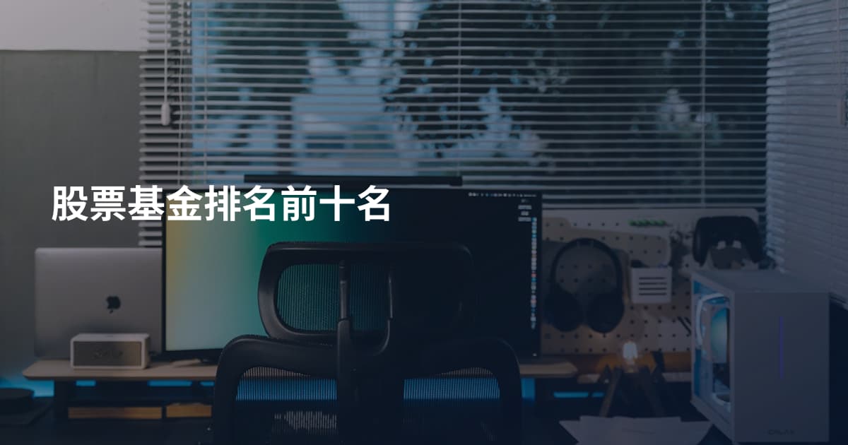 股票基金排名前十名