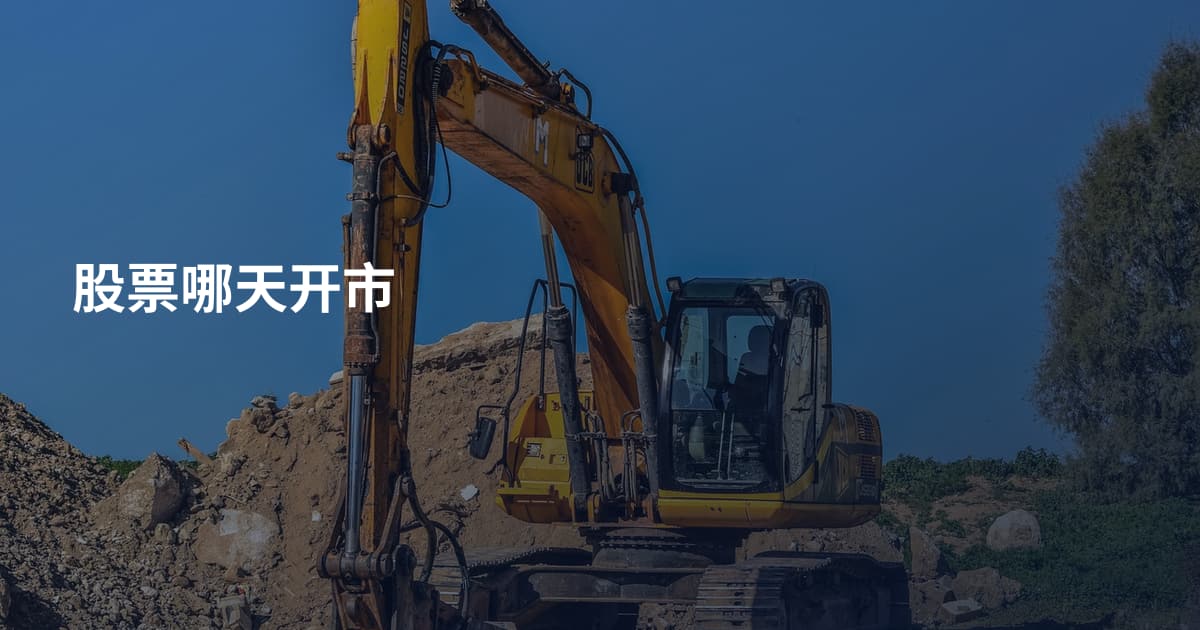 股票哪天开市