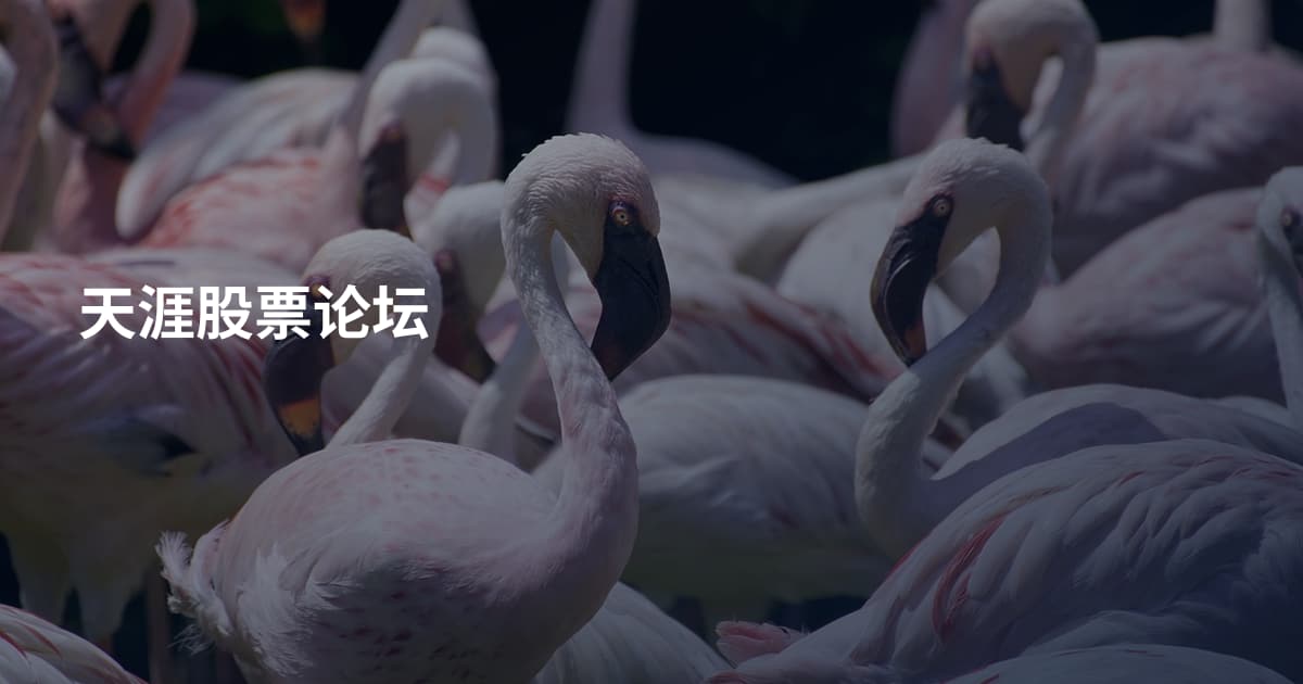 天涯股票论坛