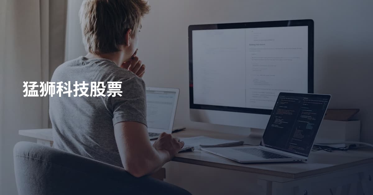 猛狮科技股票