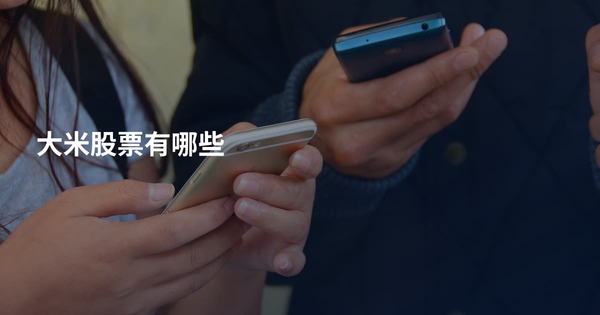 大米股票有哪些