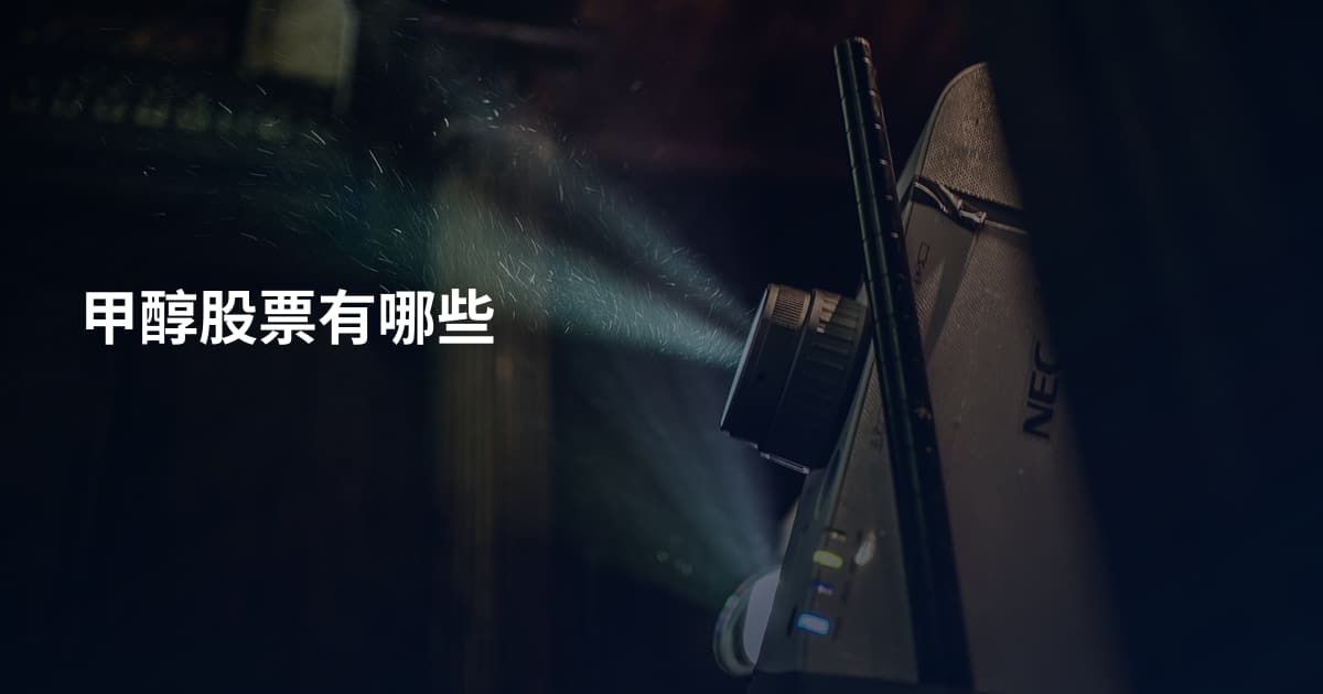 甲醇股票有哪些