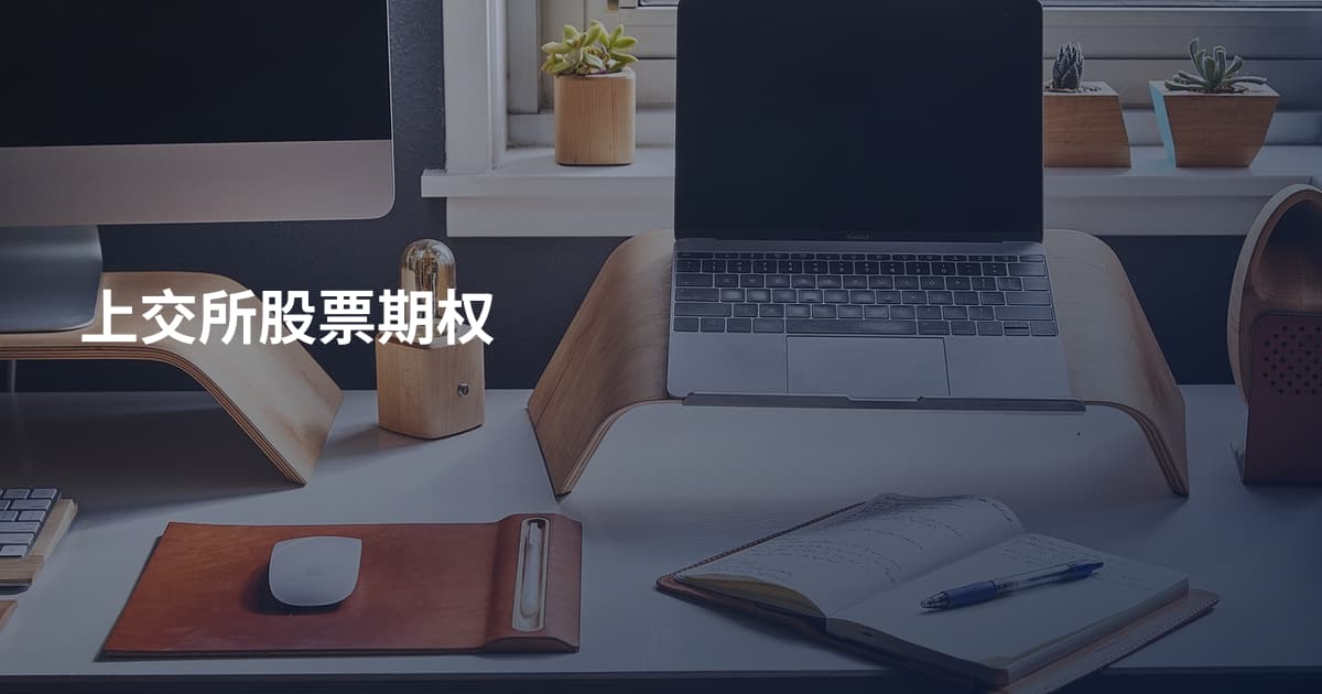 上交所股票期权