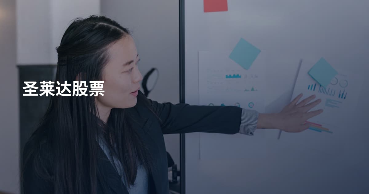圣莱达股票