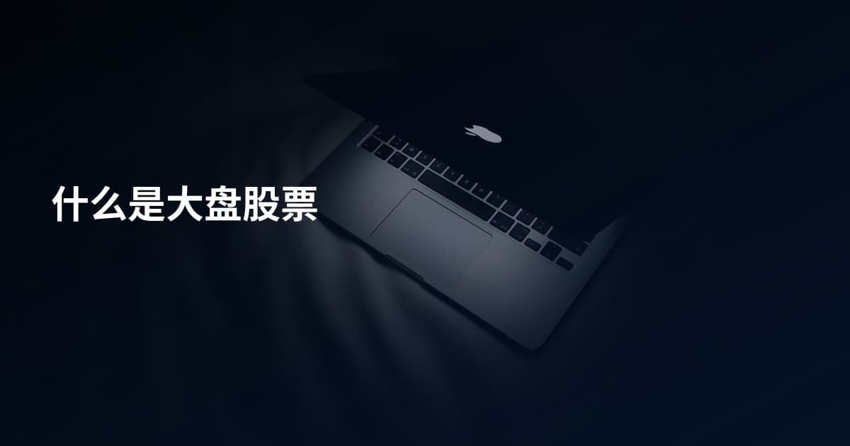什么是大盘股票