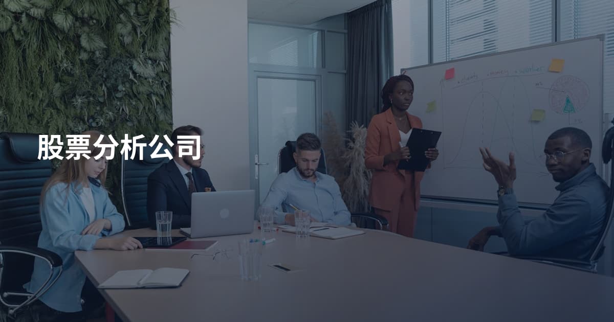 股票分析公司