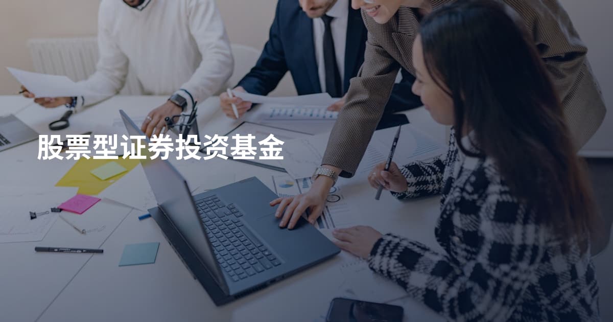 股票型证券投资基金