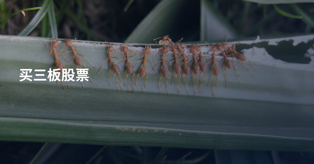 买三板股票