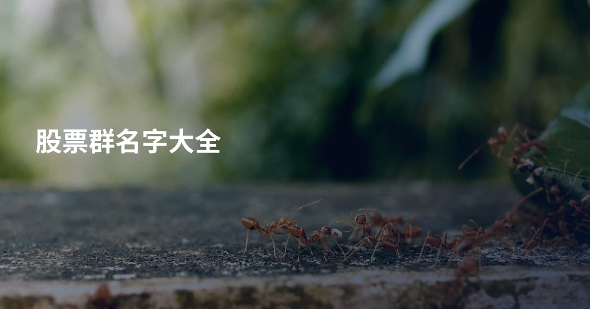股票群名字大全