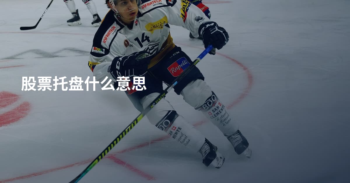 股票托盘什么意思