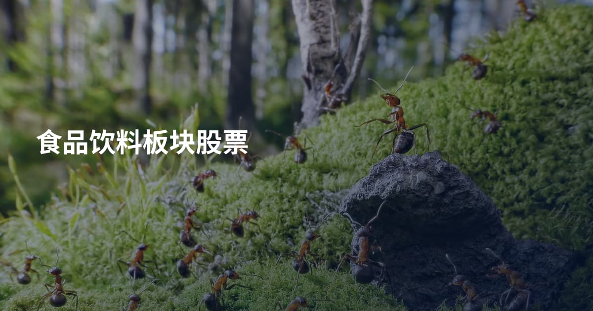 食品饮料板块股票