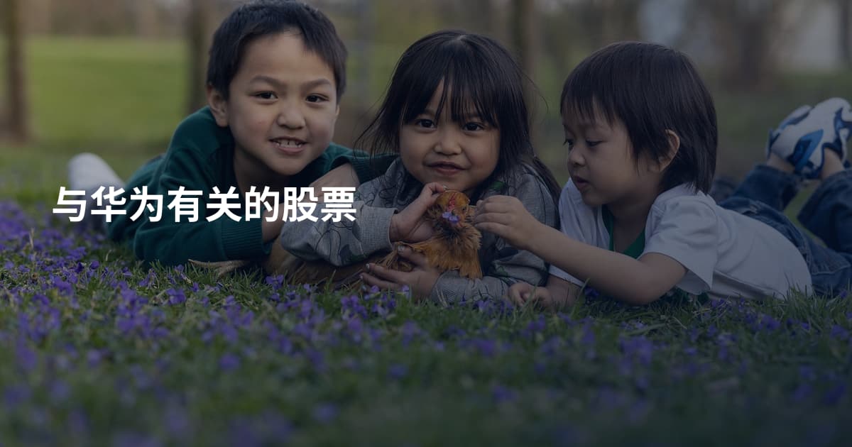 与华为有关的股票