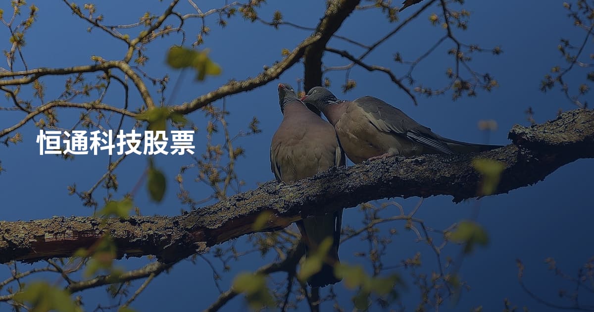 恒通科技股票