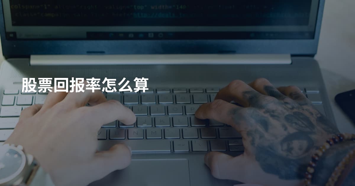 股票回报率怎么算