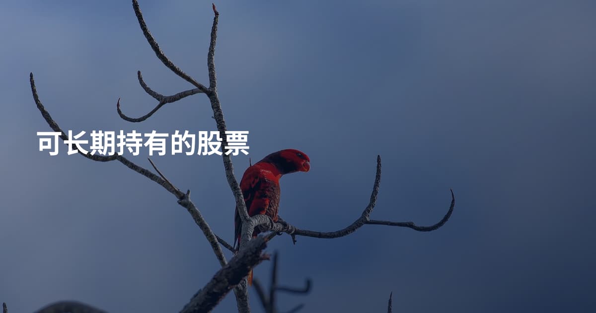 可长期持有的股票