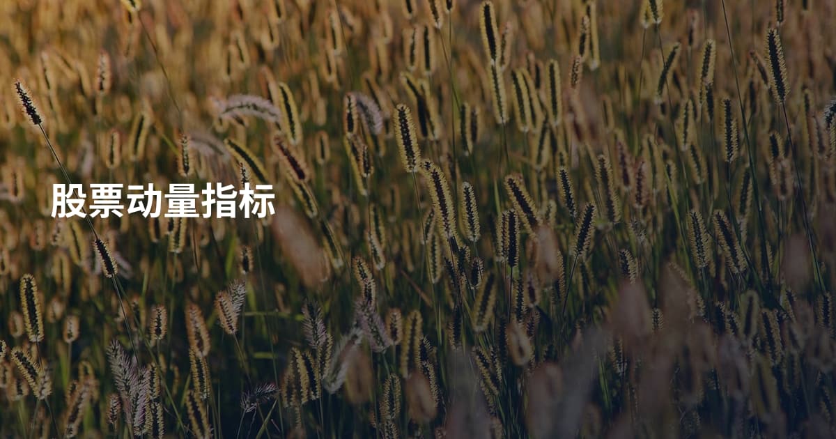 股票动量指标
