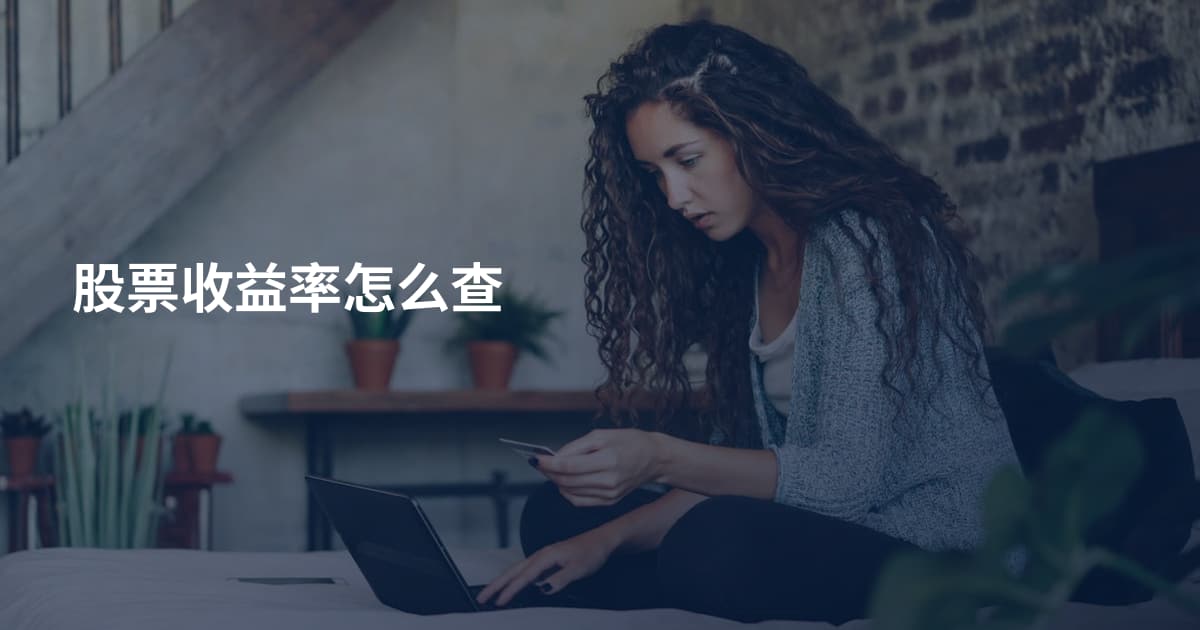 股票收益率怎么查