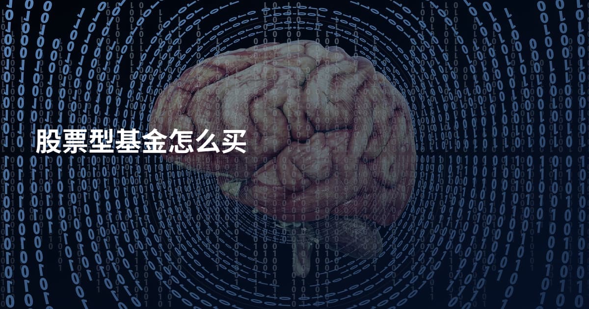 股票型基金怎么买