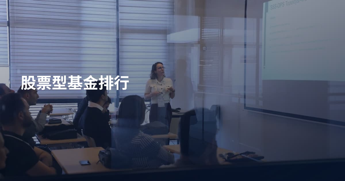 股票型基金排行