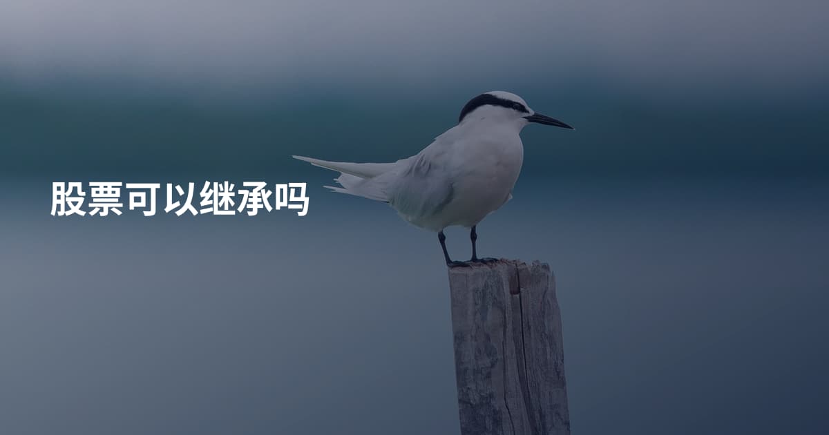 股票可以继承吗