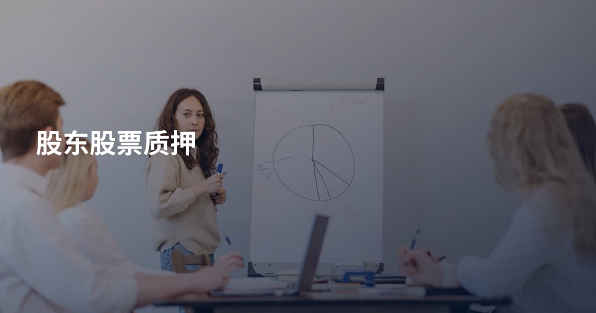 股东股票质押