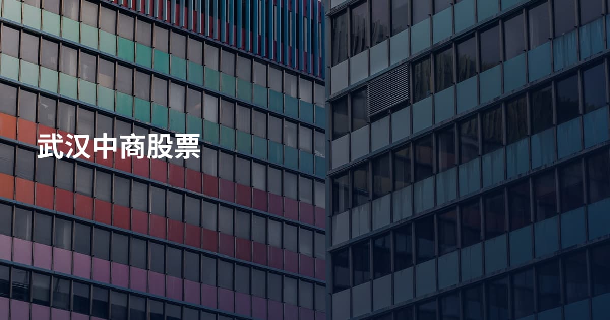 武汉中商股票