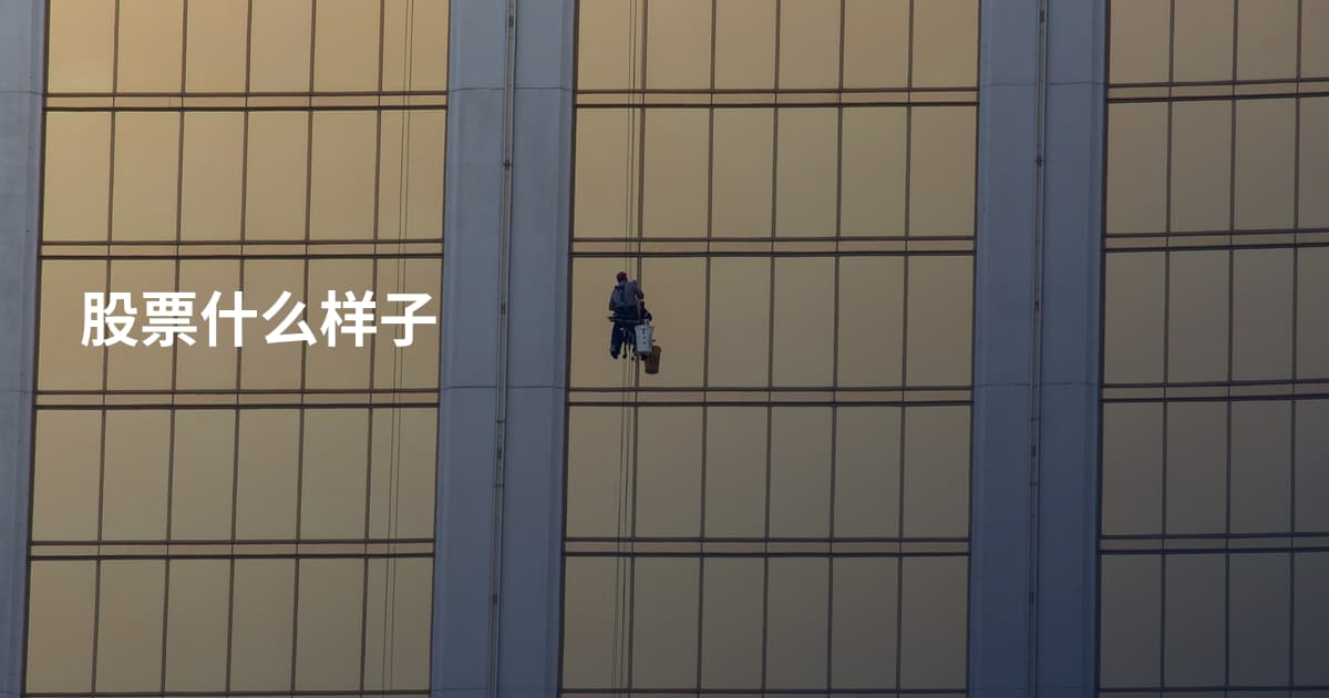 股票什么样子