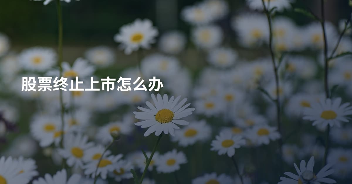股票终止上市怎么办