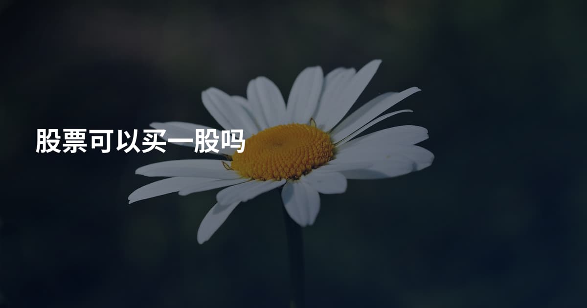 股票可以买一股吗