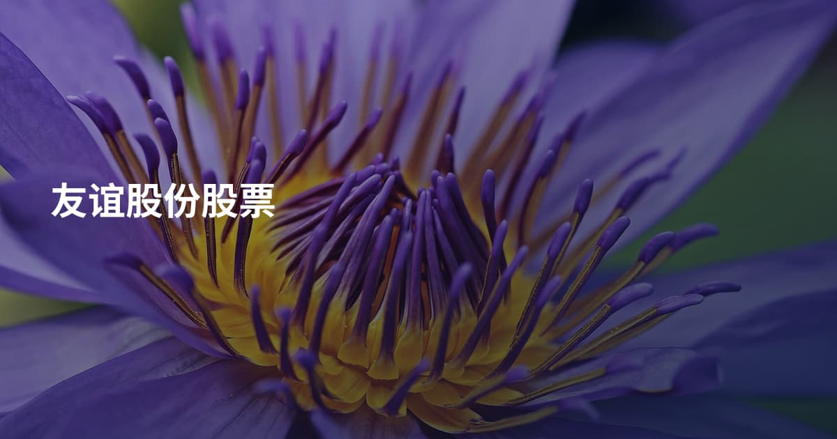 友谊股份股票