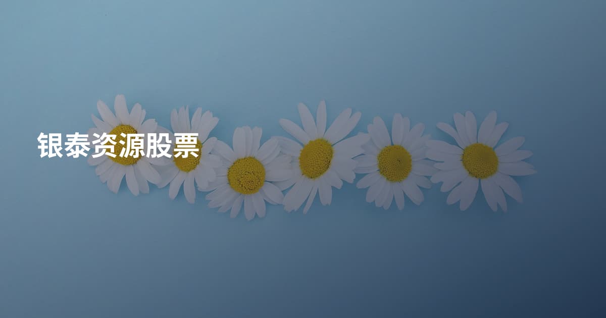 银泰资源股票