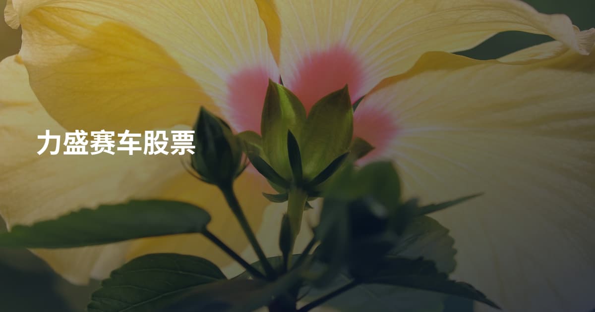 力盛赛车股票