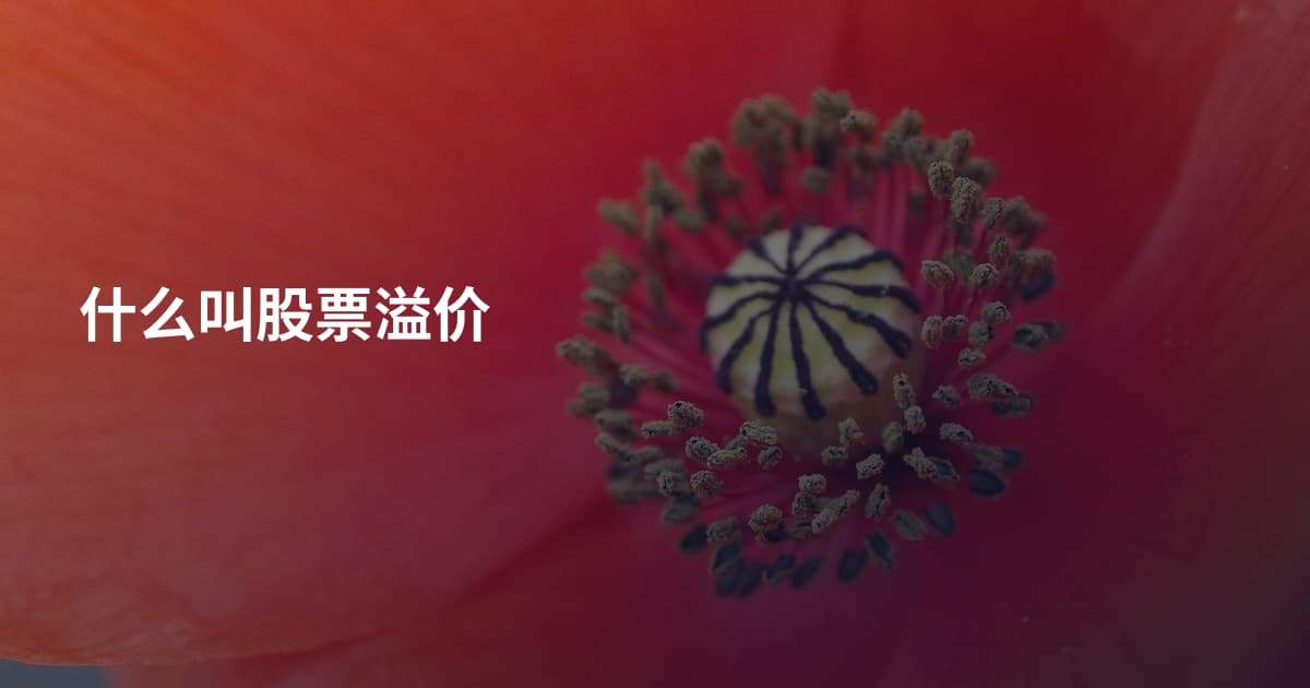 什么叫股票溢价