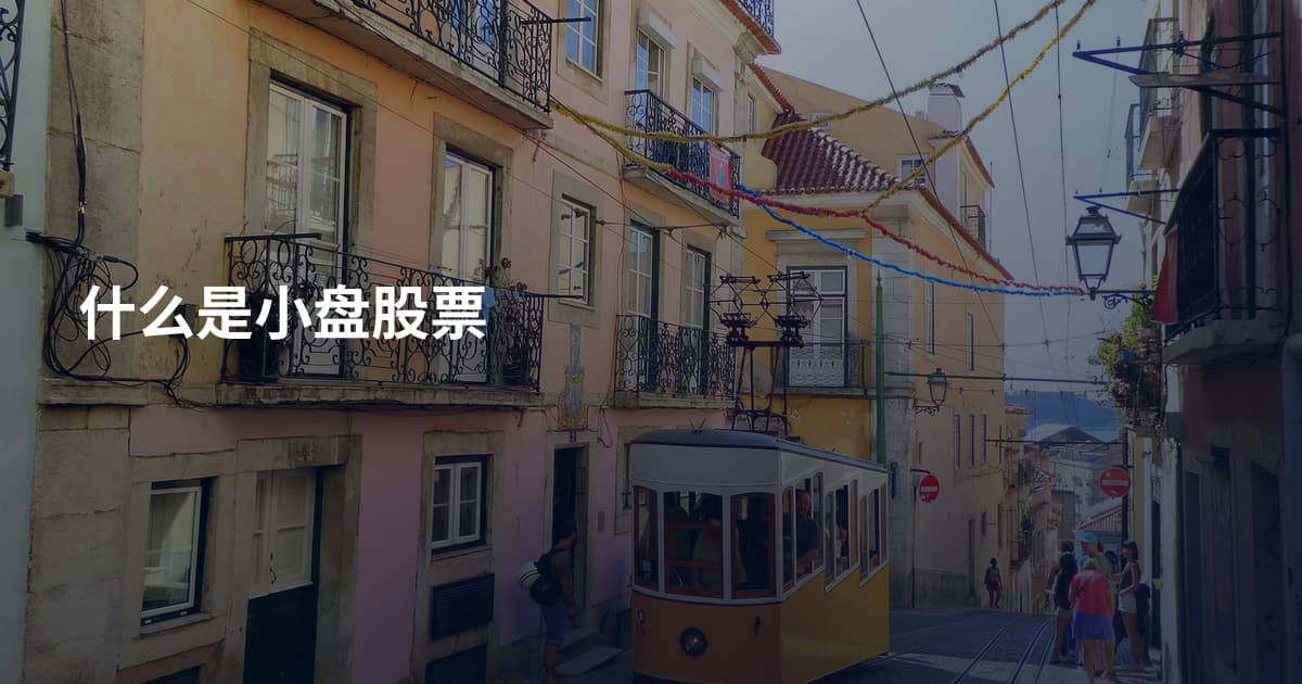 什么是小盘股票