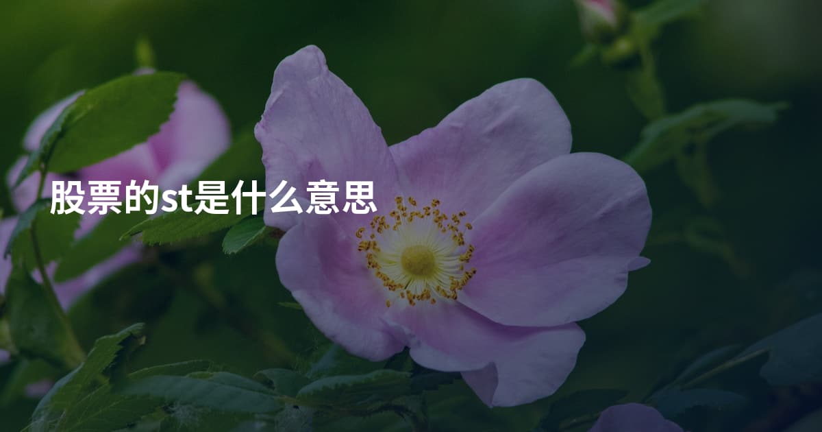 股票的st是什么意思