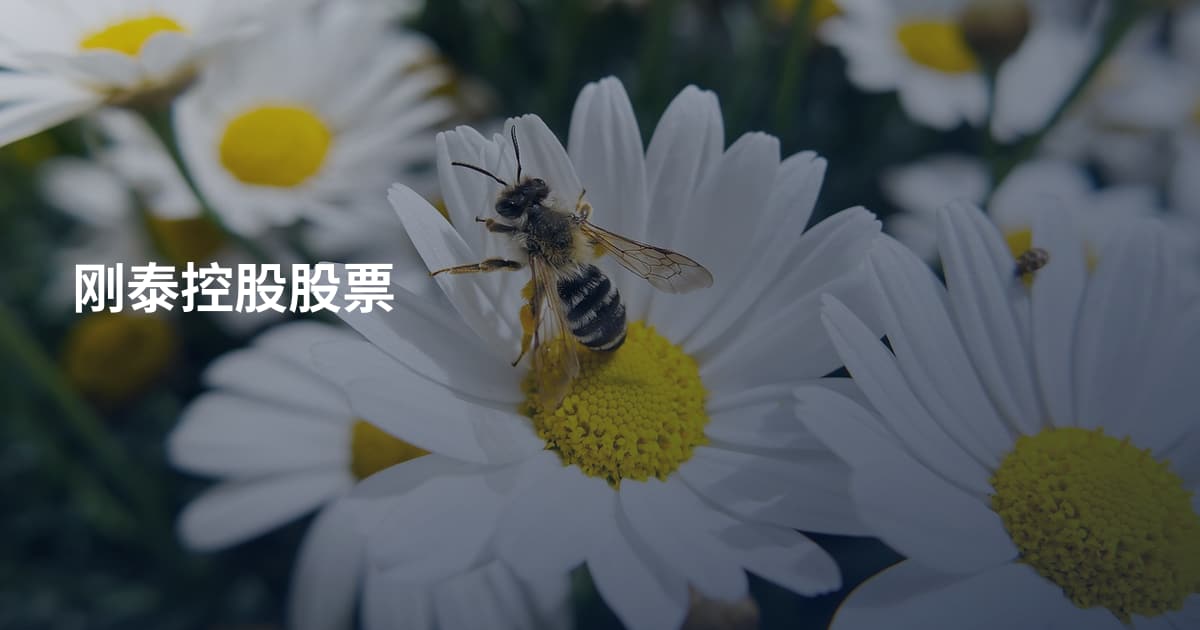 刚泰控股股票
