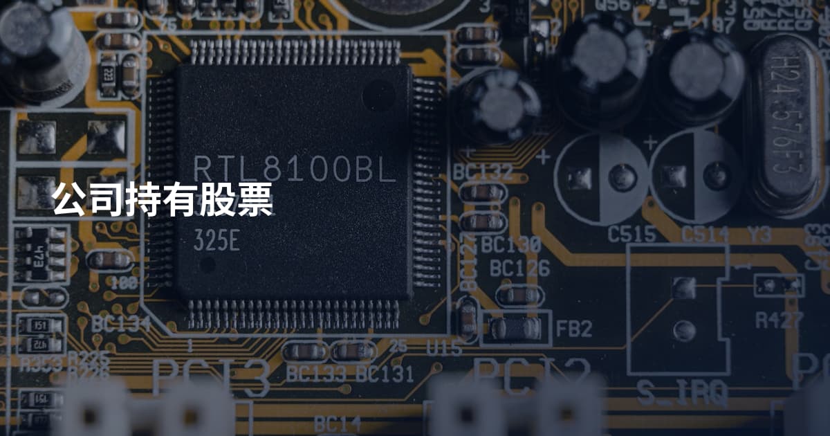 公司持有股票