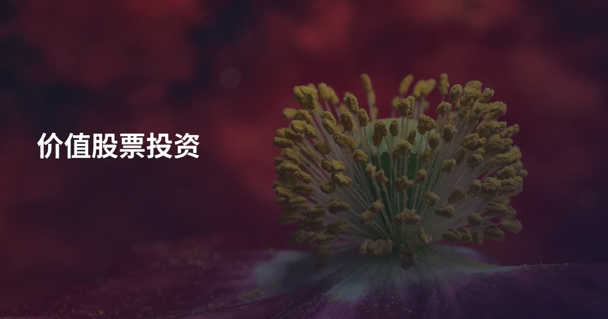 价值股票投资